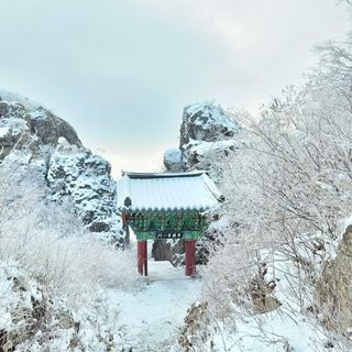 농녀님의 산삼을 갑자기 발견하게 된다면? · 참여글 작성글 사진