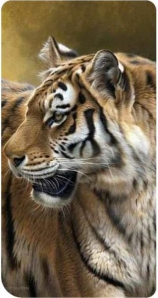 농녀님의 산삼을 갑자기 발견하게 된다면? · 참여글 작성글 사진