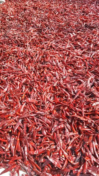 두리농장님의 자유주제 · 자유게시판 작성글 사진