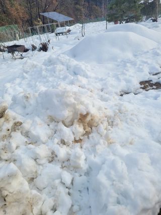 커피나무님의 자유주제 · 자유게시판 작성글 사진