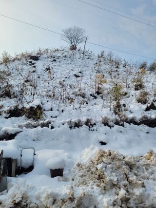 커피나무님의 자유주제 · 자유게시판 작성글 사진