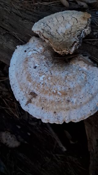 bpjh9173님의 자유주제 · 자유게시판 작성글 사진