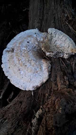 bpjh9173님의 자유주제 · 자유게시판 작성글 사진