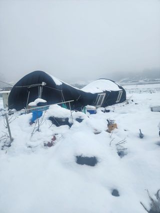 스마일00님의 기타작물 · 영농일지 작성글 사진