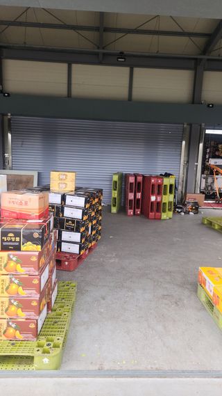 김행복님의 기타작물 · 영농일지 작성글 사진