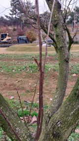 팜모닝 감·자유게시판 게시글 이미지