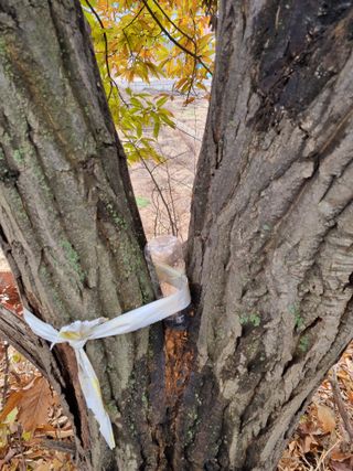 권오정님의 기타작물 · 영농일지 작성글 사진