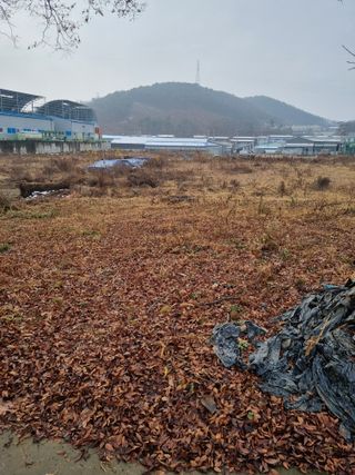 권오정님의 기타작물 · 영농일지 작성글 사진