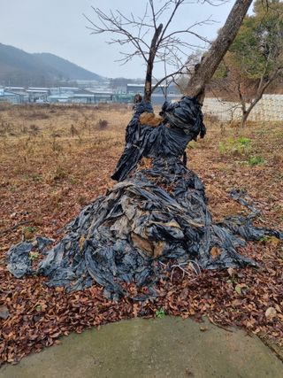 권오정님의 기타작물 · 영농일지 작성글 사진