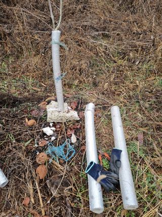 권오정님의 기타작물 · 영농일지 작성글 사진