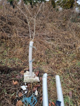 권오정님의 기타작물 · 영농일지 작성글 사진