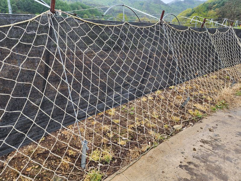 김기석님의 장터 판매 상품 [해태망 고라니망 노루망 멧돼지망 식물망] 첨부 사진