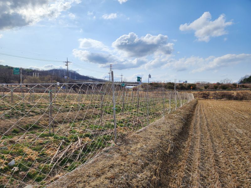 김기석님의 장터 판매 상품 [해태망 고라니망 노루망 멧돼지망 식물망] 첨부 사진