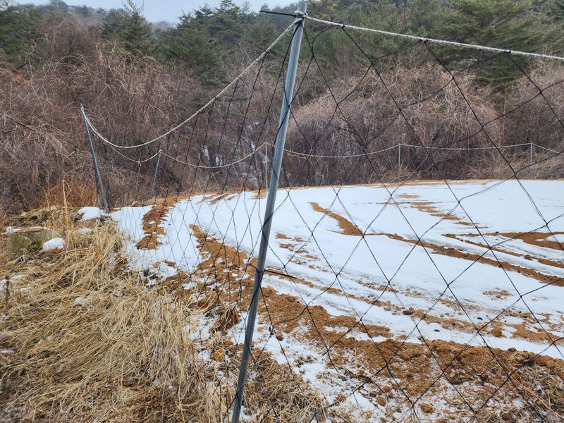 김기석님의 장터 판매 상품 [해태망 고라니망 노루망 멧돼지망 식물망] 첨부 사진