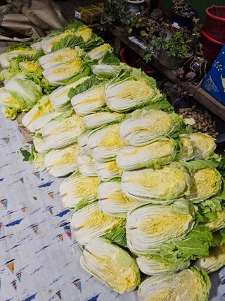 배성은365님의 자유주제 · 자유게시판 작성글 사진