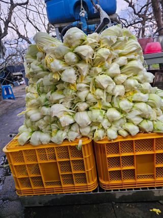 배성은365님의 자유주제 · 자유게시판 작성글 사진