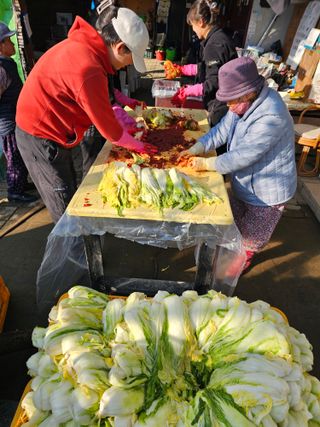 배성은365님의 자유주제 · 자유게시판 작성글 사진