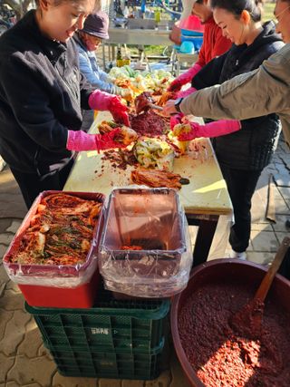 배성은365님의 자유주제 · 자유게시판 작성글 사진