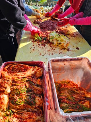 배성은365님의 자유주제 · 자유게시판 작성글 사진