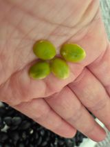 팜모닝 자유주제·자유게시판 게시글 이미지