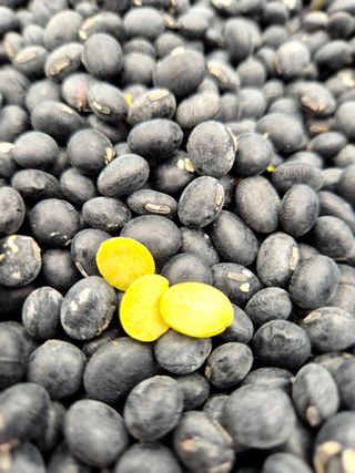 김숙향님의 자유주제 · 자유게시판 작성글 사진