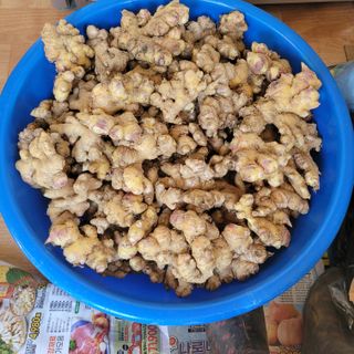 이창화님의 자유주제 · 자유게시판 작성글 사진