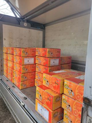 서귀포달코롬감귤농원님의 귤 · 일상 작성글 사진