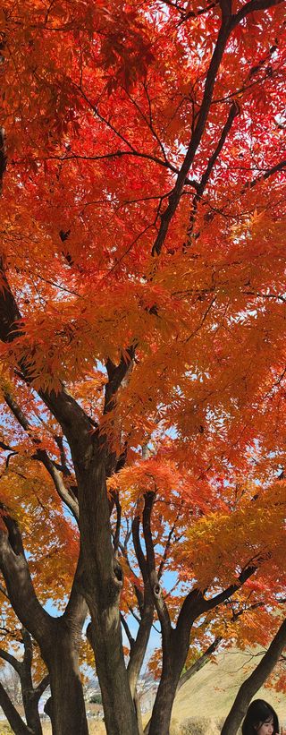 홍순강화모리님의 농한기 휴식 계획 공유하기 · 참여글 작성글 사진