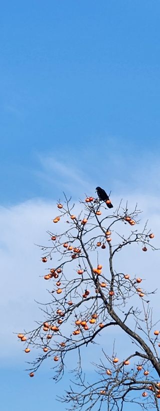 홍순강화모리님의 농한기 휴식 계획 공유하기 · 참여글 작성글 사진