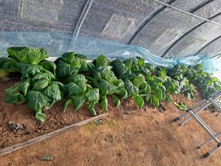 박순덕님의 자유주제 · 자유게시판 작성글 사진