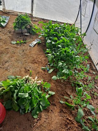 박순덕님의 자유주제 · 자유게시판 작성글 사진