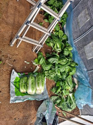 박순덕님의 자유주제 · 자유게시판 작성글 사진