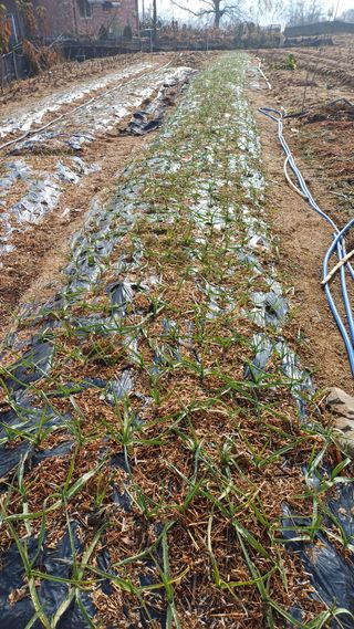 박순덕님의 자유주제 · 자유게시판 작성글 사진
