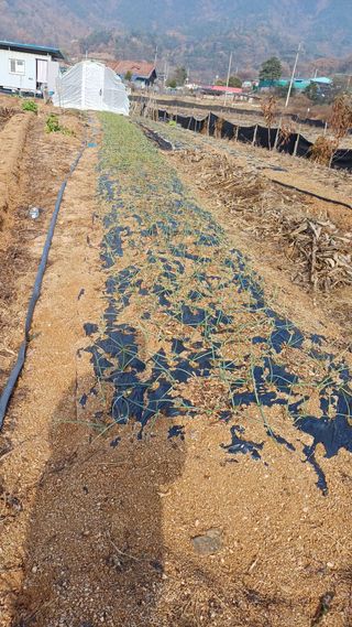 박순덕님의 자유주제 · 자유게시판 작성글 사진