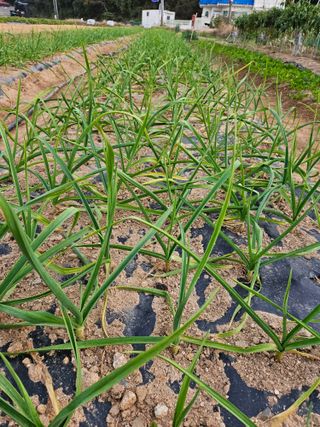 osm님의 자유주제 · 자유게시판 작성글 사진