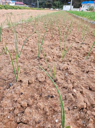 osm님의 자유주제 · 자유게시판 작성글 사진