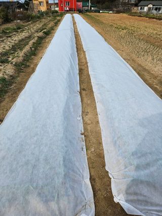 osm님의 자유주제 · 자유게시판 작성글 사진