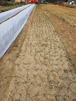 osm님의 자유주제 · 자유게시판 작성글 사진