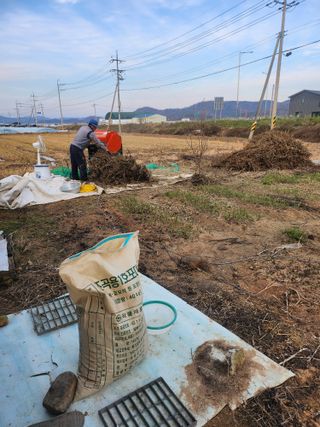 작은뜰 농원님의 기타작물 · 영농일지 작성글 사진