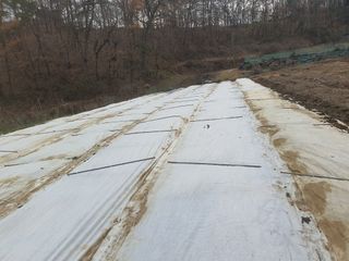 옥천서화농님의 자유주제 · 자유게시판 작성글 사진