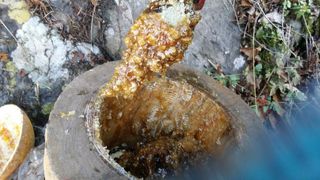 임원식님의 작성글 사진