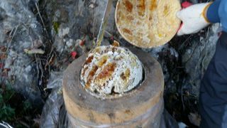 임원식님의 작성글 사진