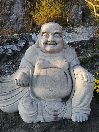 서정훈 님의 산삼을 갑자기 발견하게 된다면?·참여글 작성글 사진