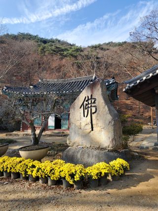 서정훈 님의 산삼을 갑자기 발견하게 된다면? · 참여글 작성글 사진