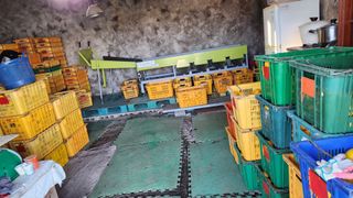 조상균님의 기타작물 · 영농일지 작성글 사진