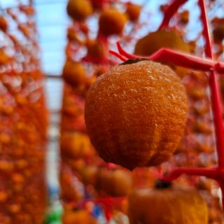 백용기님의 자유주제 · 자유게시판 작성글 사진