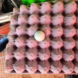 철우(이철우)님의 자유주제 · 자유게시판 작성글 사진