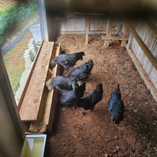 철우(이철우)님의 자유주제 · 자유게시판 작성글 사진