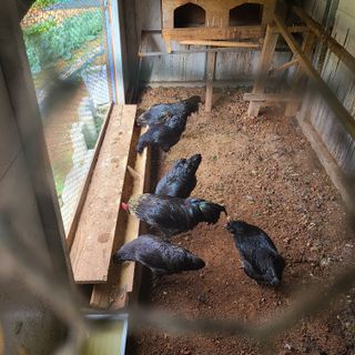 철우(이철우)님의 자유주제 · 자유게시판 작성글 사진