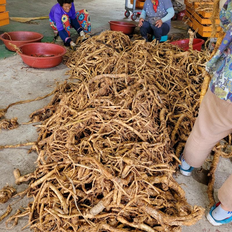 이호성님의 장터 판매 상품 [농장 개간이나 작업시 나오는 작물 수매합니다ㆍ 기타 수] 첨부 사진